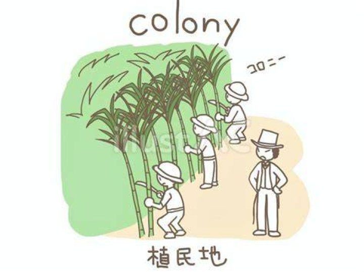 植民地の支配と制度をイメージ
